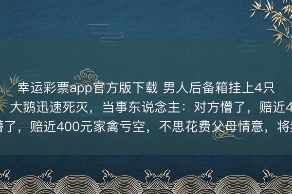 幸运彩票app官方版下载 男人后备箱挂上4只鸡鹅返程，高速被追尾，大鹅迅速死灭，当事东说念主：对方懵了，赔近400元家禽亏空，不思花费父母情意，将鹅带回家吃了